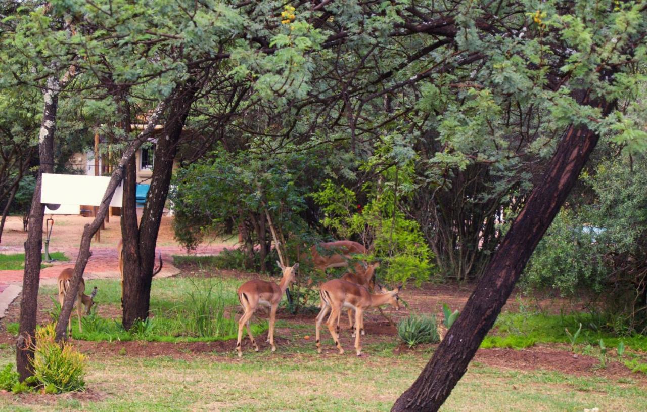 Suzie'S Loft - Nude - Suneden Family Naturist Resort Pretoria-Noord Εξωτερικό φωτογραφία